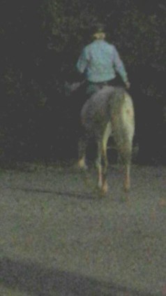 1-11811435_873751602896_1736451482494505739_n