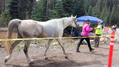 1-11830654_873972155906_178111772_n