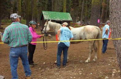 1-11844016_873972435346_1808427039_n