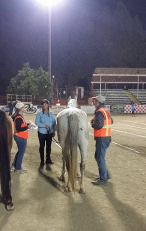 1-11850813_873972395426_1354152352_n