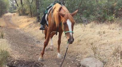 11056435_876193239836_4696197991543770420_n