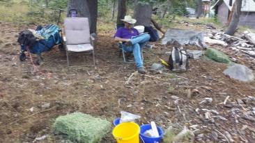 11822683_873558235406_496502197718696032_n