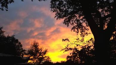 11825762_875647438626_6976648869605087138_n