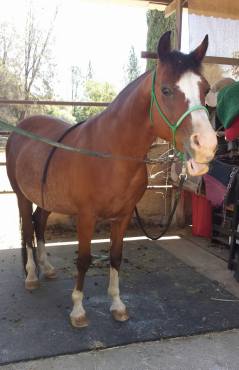 11826052_877075496786_4717564806074721702_n