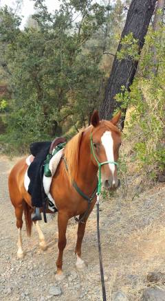 11846721_876193399516_6465898553823504856_n