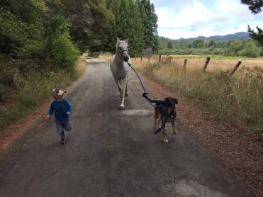 11868836_877586762206_541863877_n