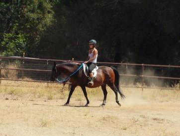 11885023_877561941946_7494301453898779601_o