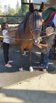 11889441_879581100536_5296965305503229469_n