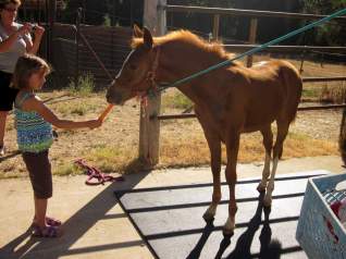 11896204_879587587536_8260478088120592741_o