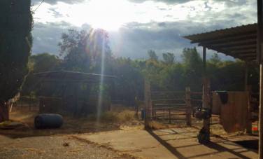 11898670_881146443576_4767517064863073111_n