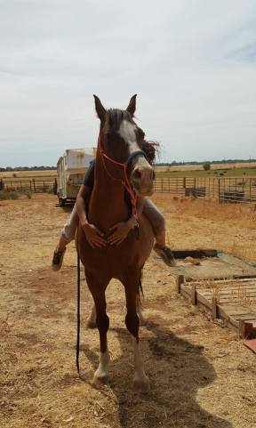 11902443_881087900896_7729276824129790507_n