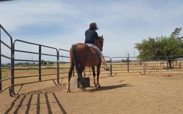 11949536_881171987386_357761183_n