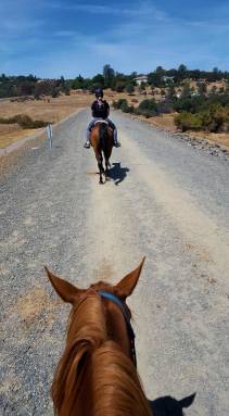 11954622_880849788076_86342341732135181_n