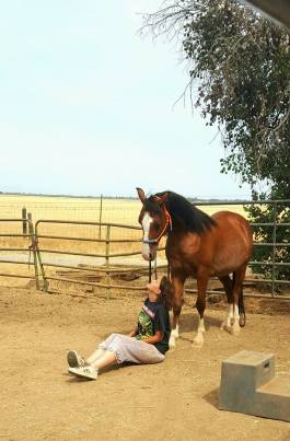 11954641_881145874716_7035688291573198308_n