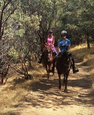 10626604_989083617780584_3258347401447531445_n