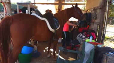 11221755_886143714006_7848046402668811269_o