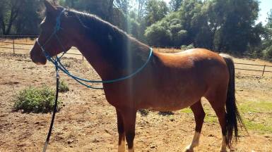 11850624_885879164166_8465322286037586410_o