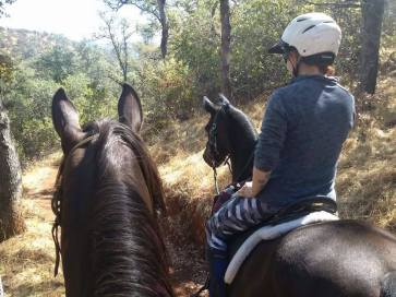 12016520_886471811496_1589857154_n