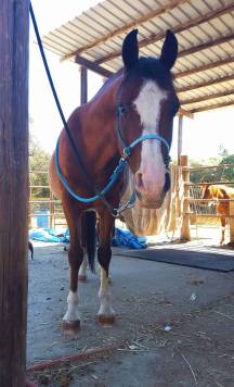 12036633_885879298896_5159538112277411287_n