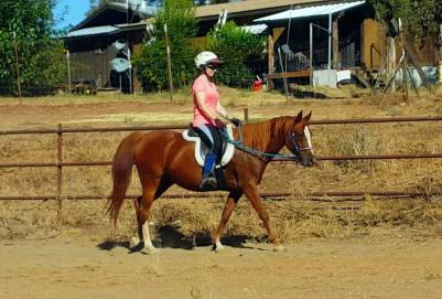 12039147_886143988456_3615024048236318365_o