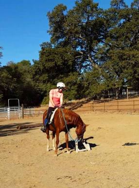 12049479_886143938556_8913572508517377293_n