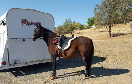 12003292_886431357566_2510814370060619995_n