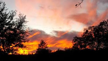 12032199_886915382576_1266905006178111367_n