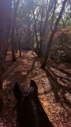 12039646_887146629156_6549812043430312111_n