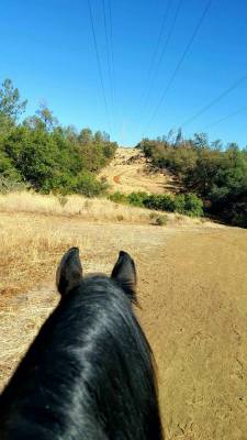 12046787_887955353466_1563004504331621178_n