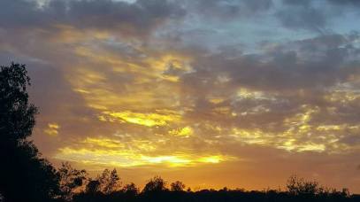 12047000_892145386606_3809991920051356568_n