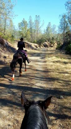 12049112_891992393206_8365555637055116298_n