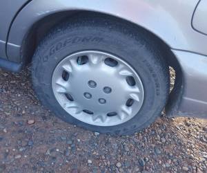 12072727_888098207186_5522456865397623733_n