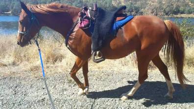 12080071_890256122706_5615064185556625851_o