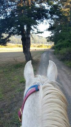 12088225_889011387166_8668236527597084234_n