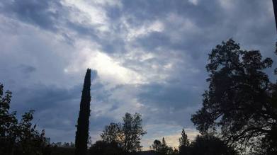 12096497_891142676046_7163630104223579501_n