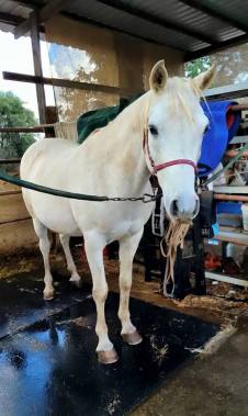 12115549_891376886686_8679461741406624979_n