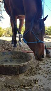 12115767_891492475046_326006575234779981_n