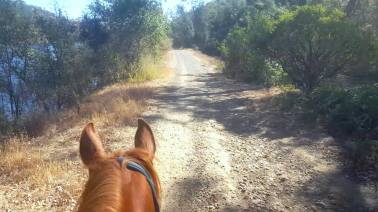 12140986_890256092766_3346984578102281687_o