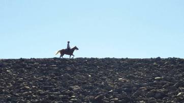 12141033_889935590056_1217914758632963990_o