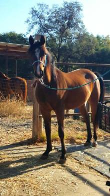 12143260_891493572846_2169513321530967666_n