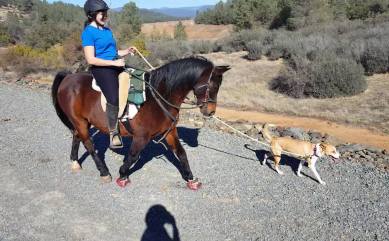 12186535_894484044916_4599989744836001235_o