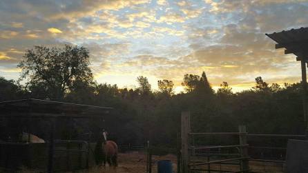 12195939_894554299126_5075900753127987354_n