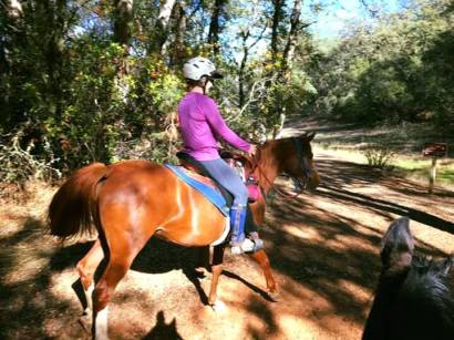 12207917_894576020596_1794424253_n