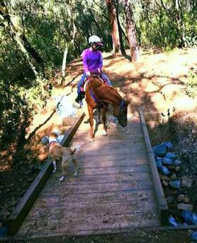 12208190_894576085466_296849131_n