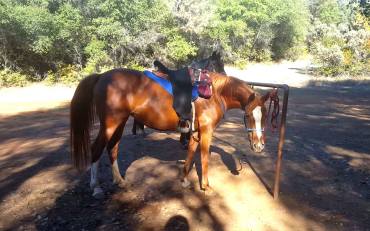 12214362_894568630406_2004383589_o