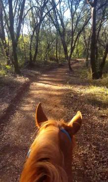 12226255_894564583516_1010262024_n