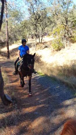 12231470_894565232216_1602233972_n