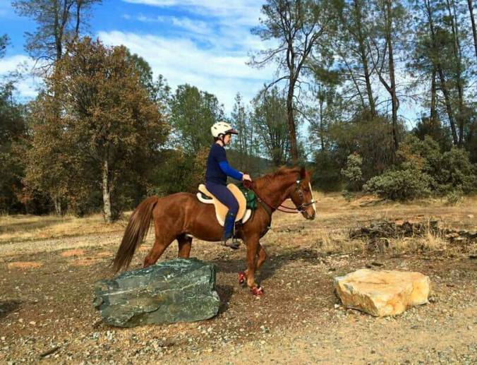 12305493_897264113636_1612071667_n