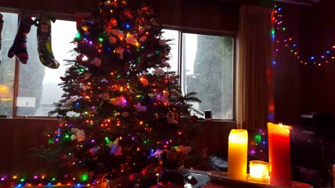 10401036_902935054026_7133171074555839198_n