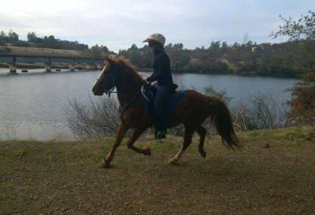 12316263_898843493546_8629515216083638892_n